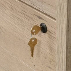 2 Drawer Aspen Post Lateral File Cabinet - Prime Oak - Sauder -Living Spaces Store GUEST 035c8aae 7632 48bf 9026 cb61afb0d243