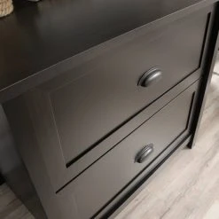 2 Drawer County Line Lateral File Cabinet - Sauder -Living Spaces Store GUEST 304c86b0 96fa 454f 8641 f4e58fdf19d6