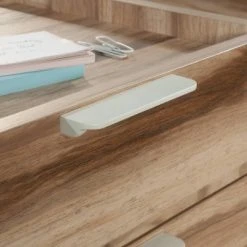 Bergen Circle Mobile Pedestal File Cabinet Kiln Acacia - Sauder -Living Spaces Store GUEST 4d5db31b 09c9 47c8 b05e dd9f80dacf12