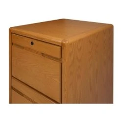 2 Drawer File Cabinet Brown - Martin Furniture -Living Spaces Store GUEST 6a44a142 c40a 4cac 8f9f 02e3132405ff