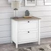 2 Drawer Mayfield File Cabinet Shiplap Gray/Pure White - Bush Furniture -Living Spaces Store GUEST 7a3d524a 494d 477d b4c4 b7b54ac3fe28