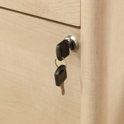 Whitaker Point 2 Drawer Lateral File Natural Maple - Sauder -Living Spaces Store GUEST 7ca39bdd 5db5 47c5 a56f e0ff3ff95f4f