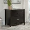 2 Drawer County Line Lateral File Cabinet - Sauder -Living Spaces Store GUEST 808d6a15 1c36 44a4 913b 3e9121a2f131