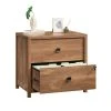 Cannery Bridge Lateral File Sindoori Mango - Sauder -Living Spaces Store GUEST 9a25d168 d299 4bcd b696 b08c080a06d2