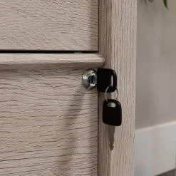 East Adara 2 Drawer File Cabinet Cascade Oak - Sauder -Living Spaces Store GUEST c12ee0cf 9a91 43b2 ad82 6a6ade377345