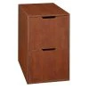 Mod Freestanding Pedestal 2 Drawer Filing Cabinet - Niche -Living Spaces Store GUEST d08f36d8 0aa2 4f33 8632 dfecb31f27c8