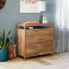 2 Drawer International Lux Lateral File Cabinet Sindoori Mango - Sauder -Living Spaces Store GUEST e8a43afb 1dd6 483b 9a27 789935e6b80f