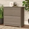 Cabot 2 Drawer File Cabinet Ash Gray - Bush Furniture -Living Spaces Store GUEST e956fcbc 772a 4145 a038 af6b88662ff9