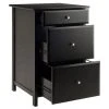 Delta File Cabinet - Black - Winsome -Living Spaces Store GUEST f5ea9b7e d54a 45ab 9a86 4c105f16dbf7